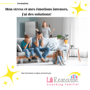 mon stress et mes émotions intenses formation